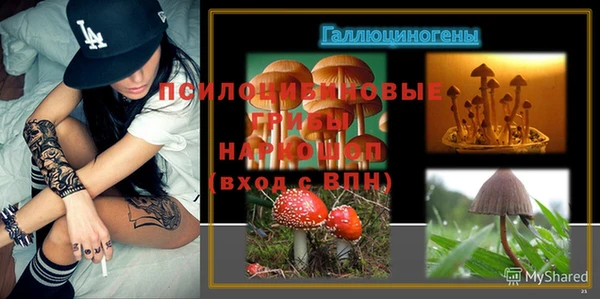 ПСИЛОЦИБИНОВЫЕ ГРИБЫ Покровск