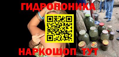 хмурый Заводоуковск