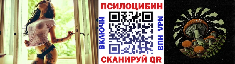 где продают   Ливны  ОМГ ОМГ как войти  Галлюциногенные грибы Psilocybe 